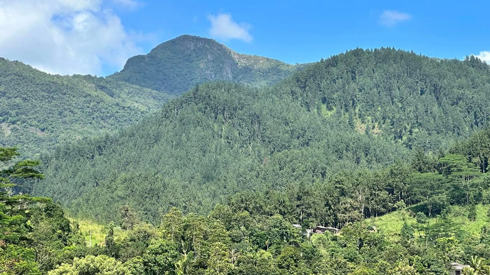 The Kandyan Secret Villa - Free Pick Up From Kandy Railway Station 0*,  Sri Lanca
